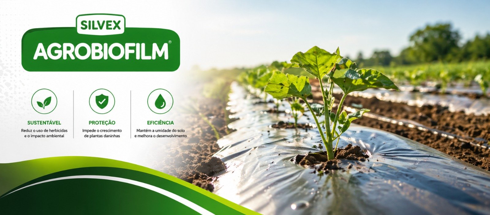 Imagem pra site 4.jpeg