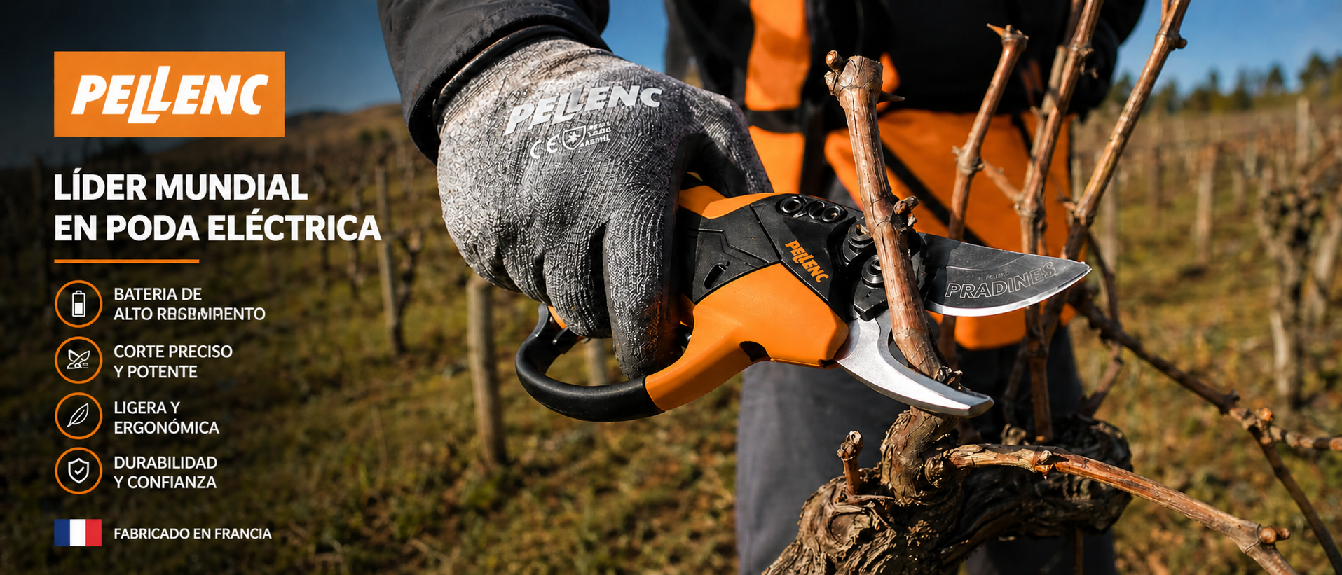 016.png